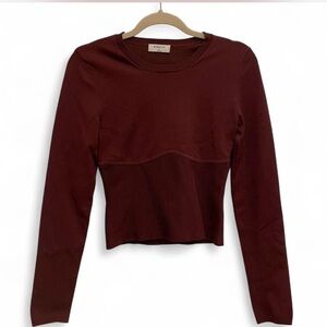 Aritzia babaton long sleeve